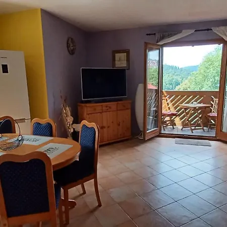 Aurora On The Apartment